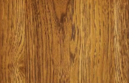 Hickory